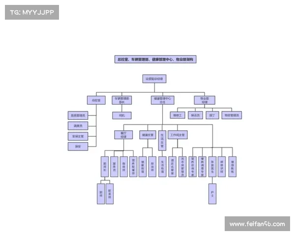 赛事组织和运营_赛事运营的内容关系图